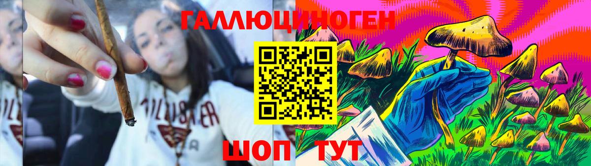 Видное  Псилоцибиновые грибы мицелий  Псилоцибиновые грибы GOLDEN TEACHER  Вход с VPN 